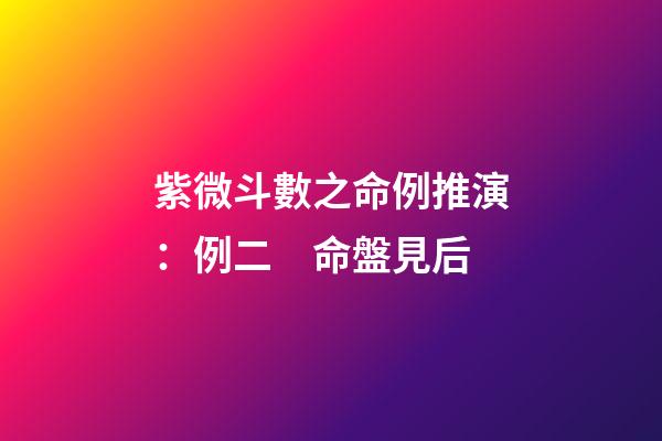 紫微斗數之命例推演：例二　命盤見后